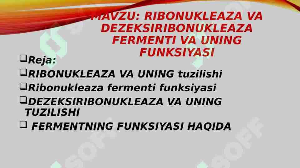 ribonukleaza va Dezeksiribonukleaza fermenti va uning funksiyasi