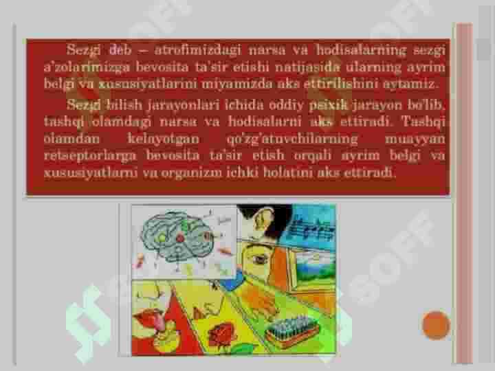 SEZGI psixologiyasi 3