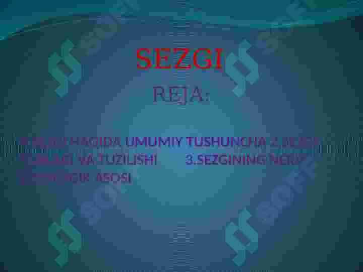 SEZGI 2