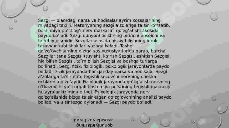 SEZGI 4