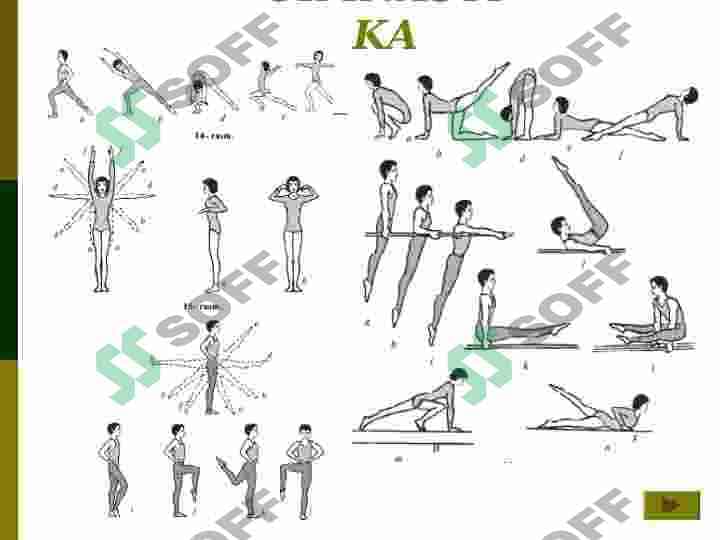 SPORT TURLARI VA HARAKATLI O`YINLAR 3