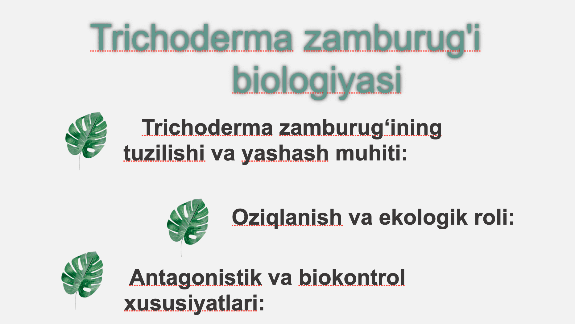 Trichoderma zamburug‘i 2