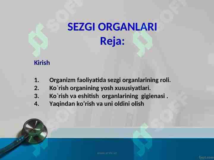 SEZGI ORGANLARI
