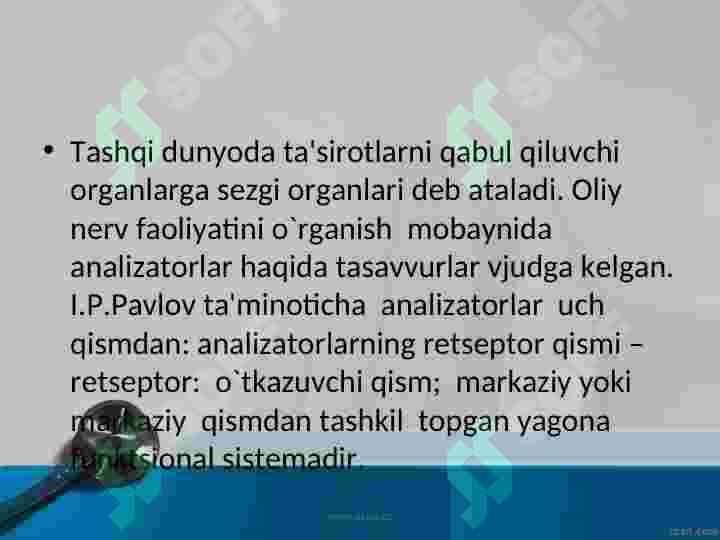 SEZGI ORGANLARI 2