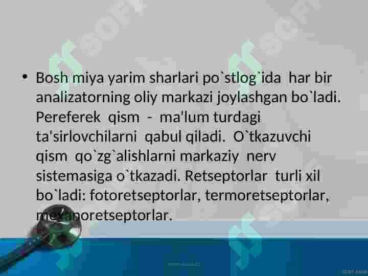 SEZGI ORGANLARI 4