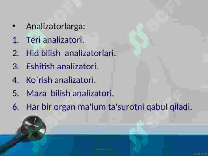 SEZGI ORGANLARI 5