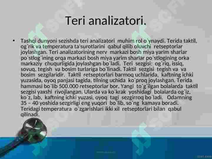 SEZGI ORGANLARI 7