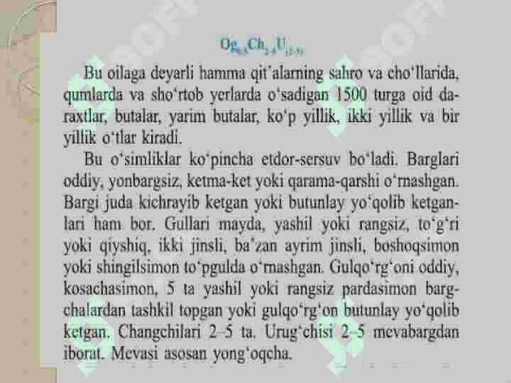 Sho'radoshlar oilasi vakillarining cho'l mintaqasi oʻsimliklari 2