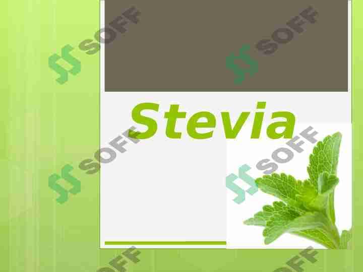 Stevia