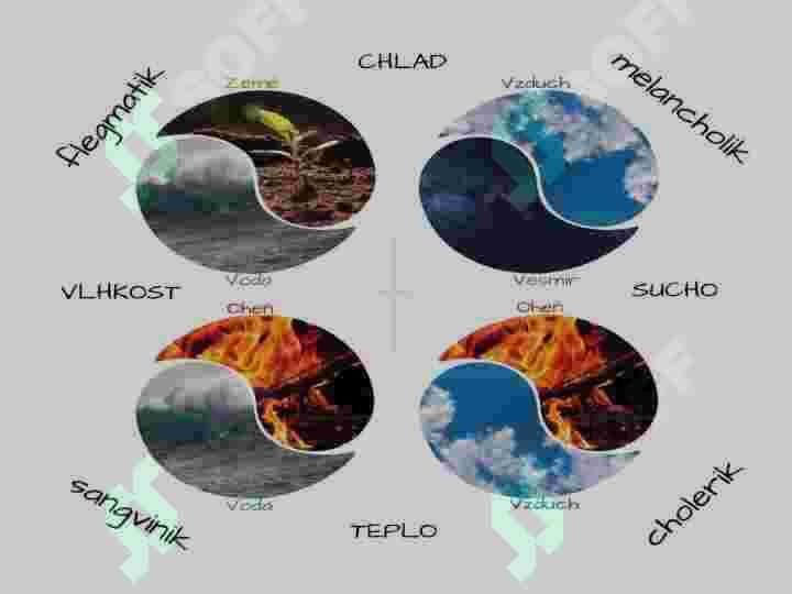Temperament va biz 6