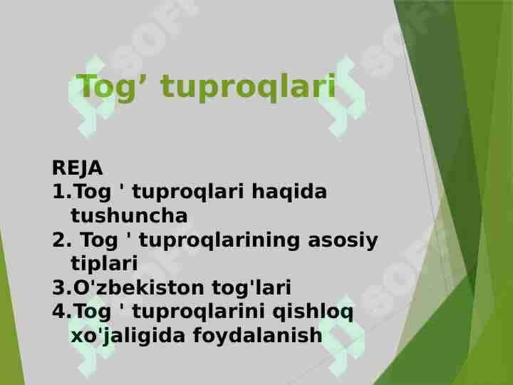 Tog’ tuproqlari