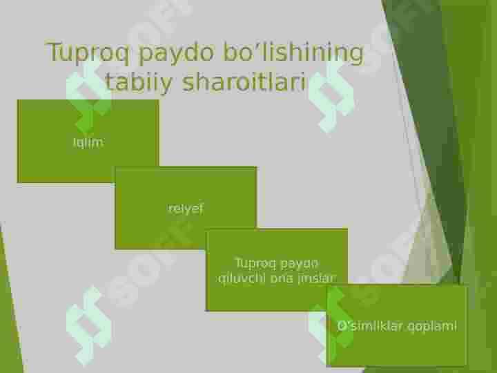 Tog’ tuproqlari 4