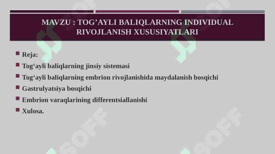 Tog’ayli baliqlarning individual rivojlanish xususiyatlari