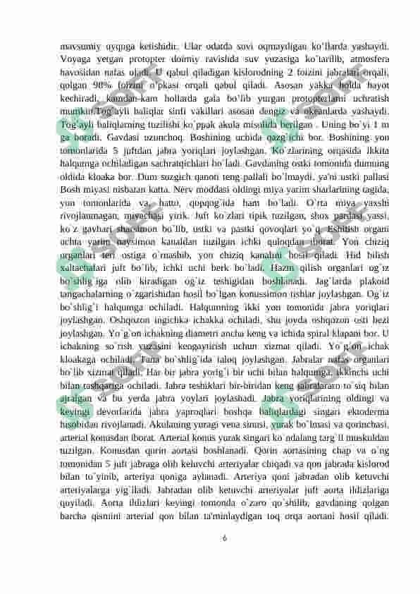 Tog'ayli baliqlar sinifi 6