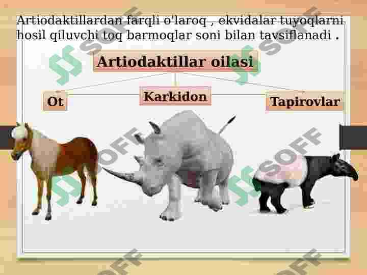 Tuyoqlilar 5