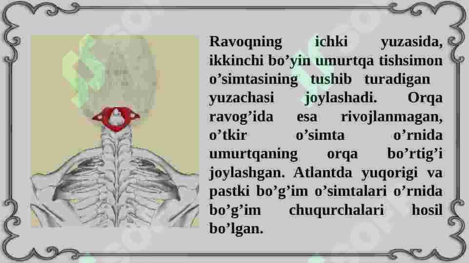 UMURTQALAR TUZILISHI 8