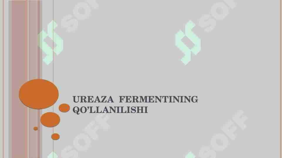 Ureaza fermentining qo’llanilishi