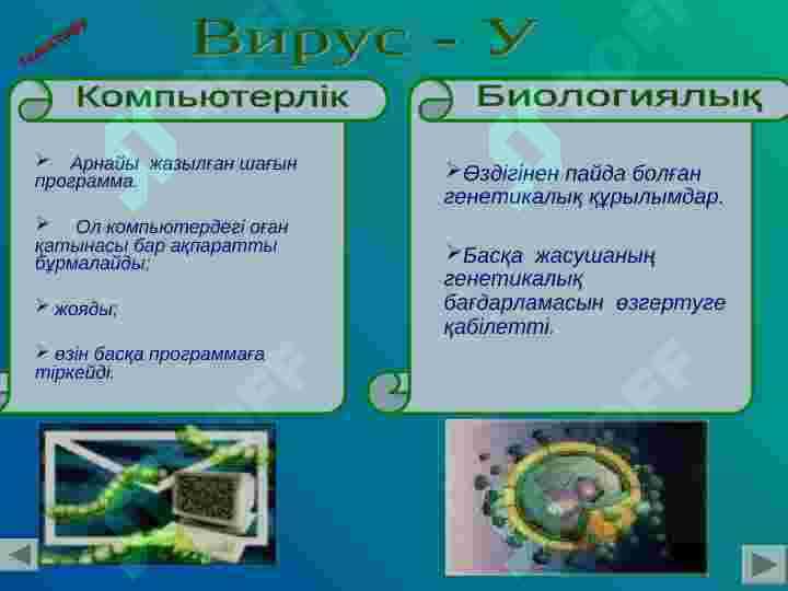 Viruslar va Eset NOD32 4