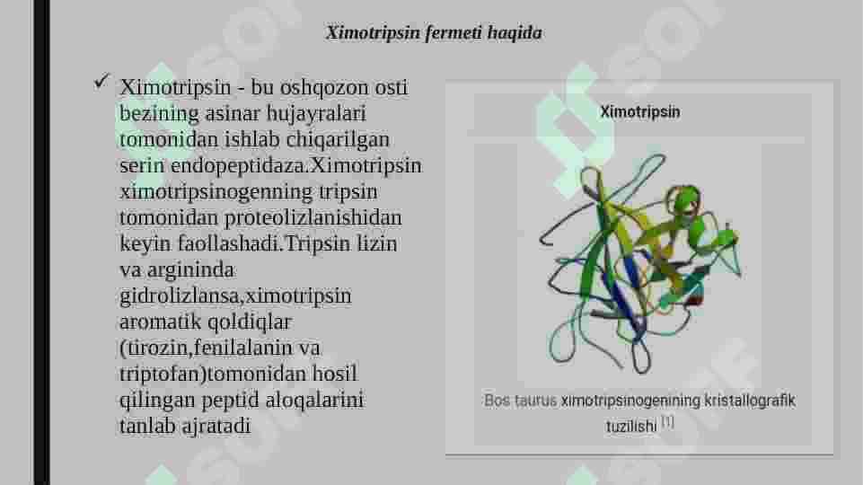 Ximotripsin fermenti va uning funksiyasi 2