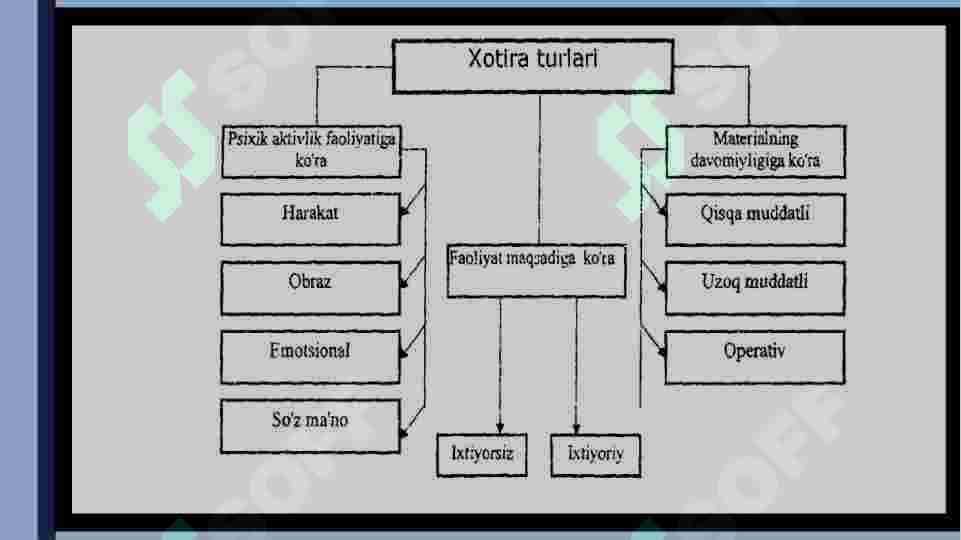 Xotira 8