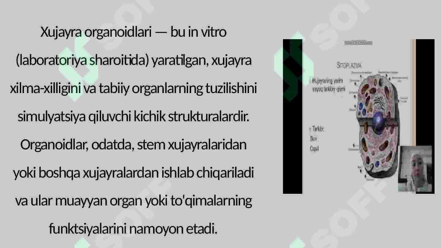 Xujayra Organoidlarining Tushunchasi 3