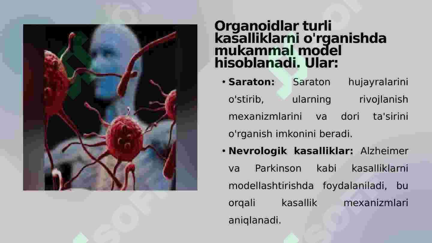 Xujayra Organoidlarining Tushunchasi 7
