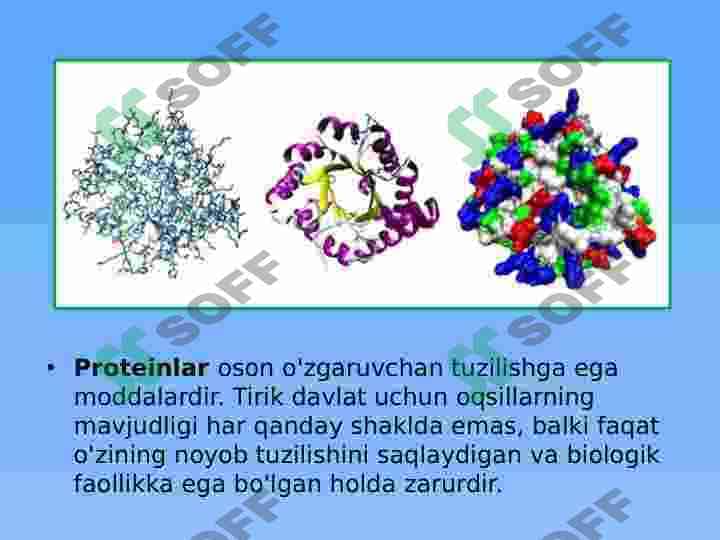 YERDA​ HAYOTNING RIVOJLANISHI 5