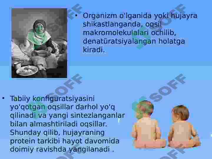 YERDA​ HAYOTNING RIVOJLANISHI 6