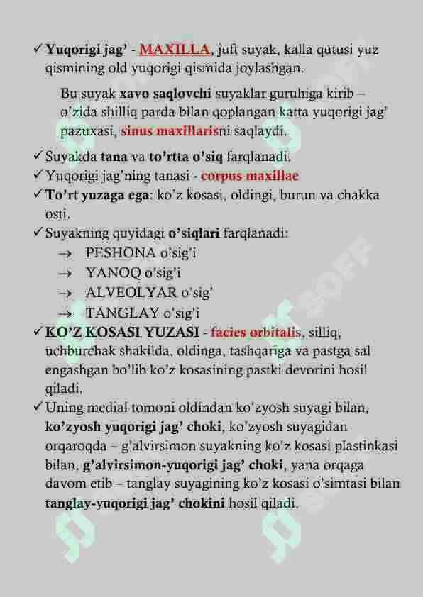 YUQORI JAG' ANATOMIYASI 2