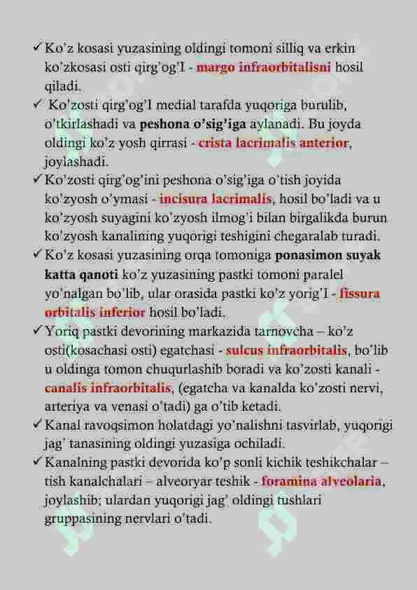 YUQORI JAG' ANATOMIYASI 3