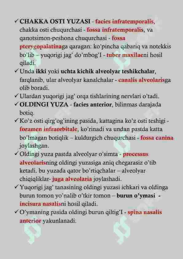 YUQORI JAG' ANATOMIYASI 4