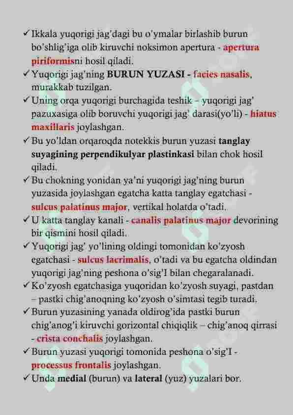 YUQORI JAG' ANATOMIYASI 5