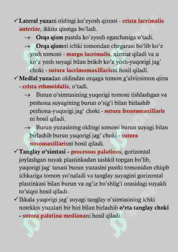 YUQORI JAG' ANATOMIYASI 6
