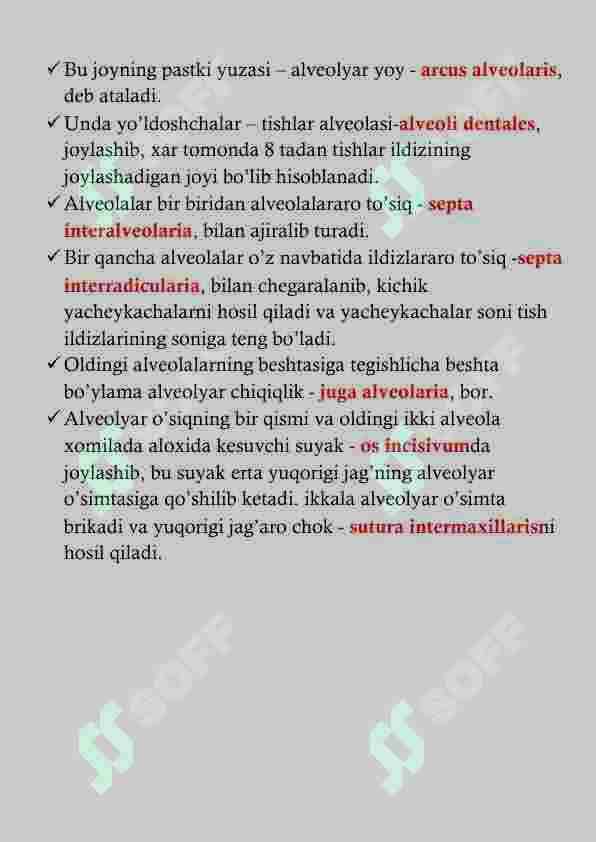 YUQORI JAG' ANATOMIYASI 8