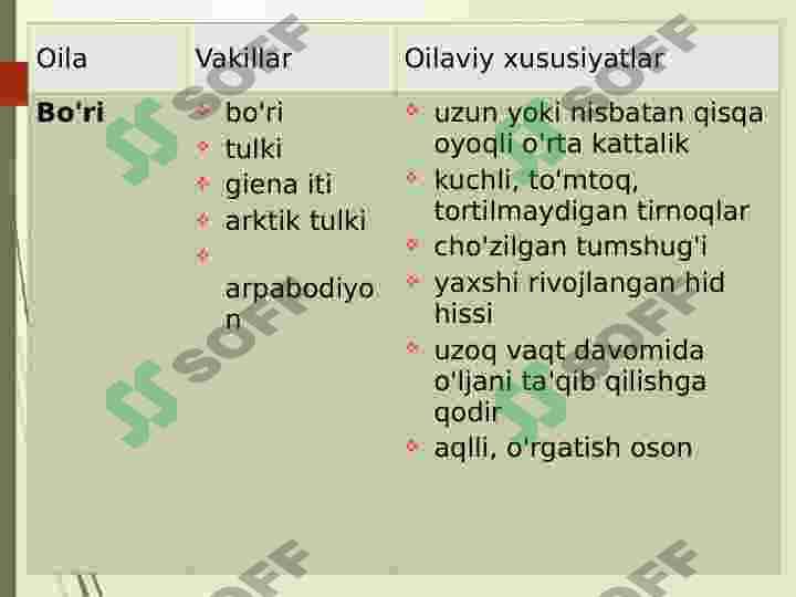 Yirtqichlar guruhi 4