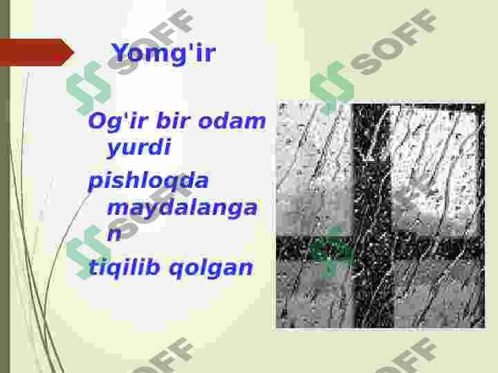 Yog'inlar 6