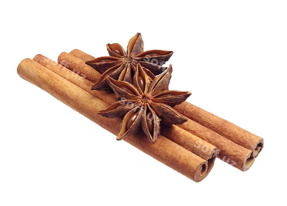 Anis va kinnamon oq fonda isolatsiya qilingan | Anise cinnamon isolated white background 1