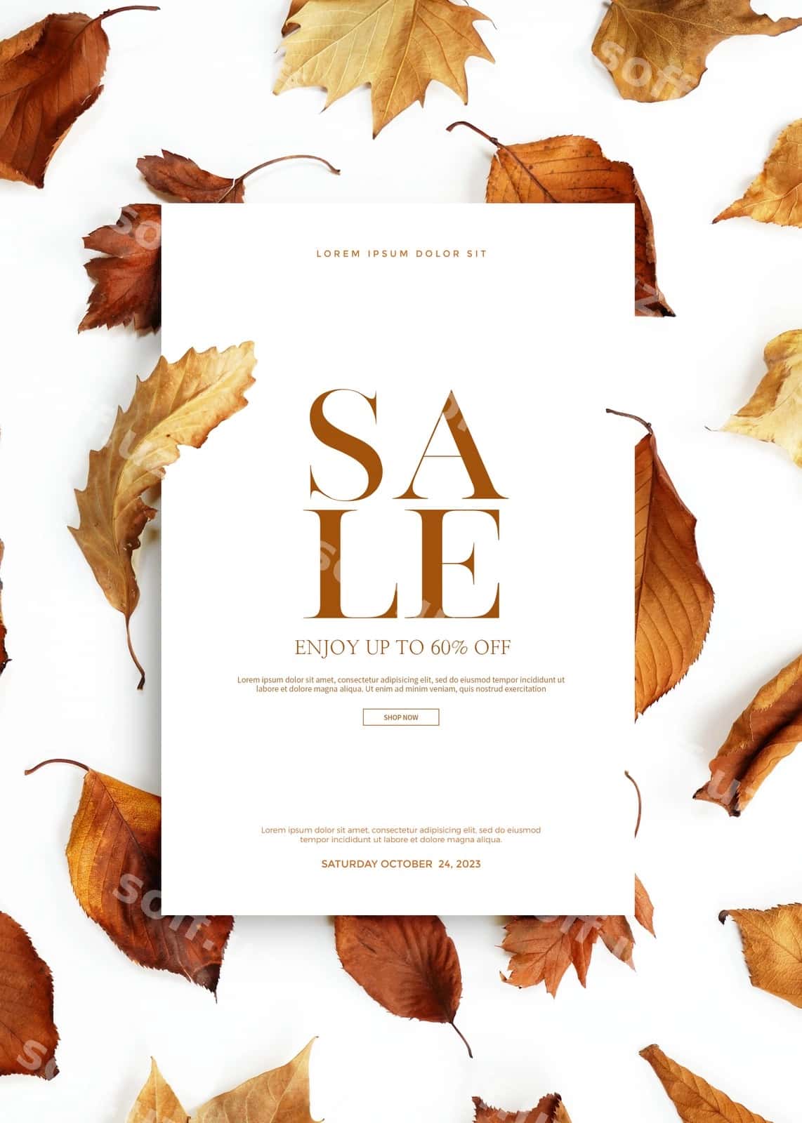 Guruchlik sotuv baner kartasi | Autumn sale banner card 1