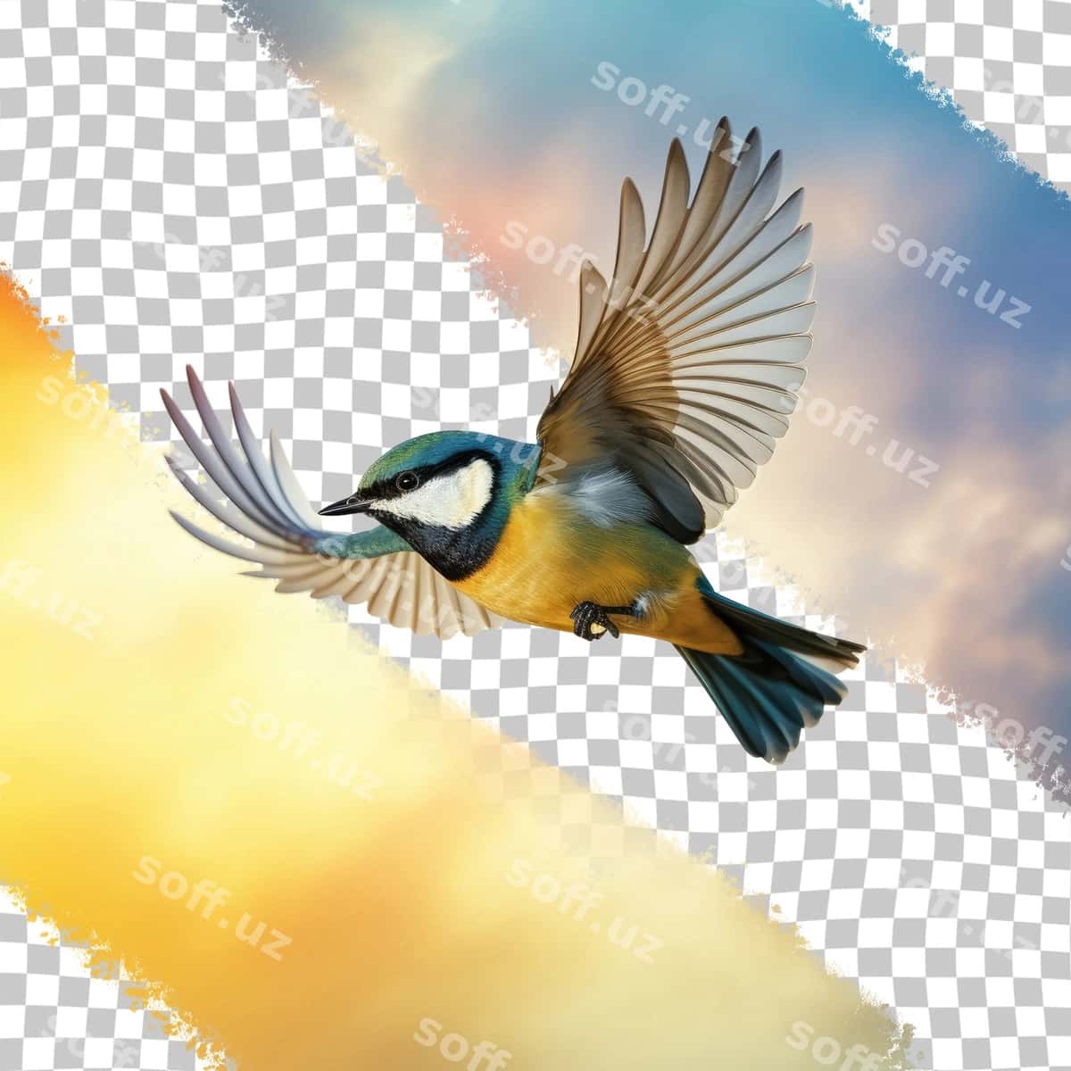 Qush shaffof orqa fonda | Avian creature transparent background 1