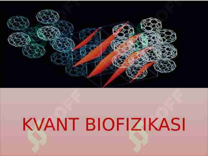 KVANT BIOFIZIKASI