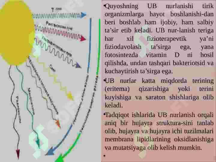 KVANT BIOFIZIKASI 3