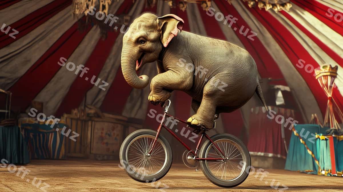 Chaqaloq fil velosipedda tirashtiradi sirk uy | Baby elephant rides bicycle circus tent 1