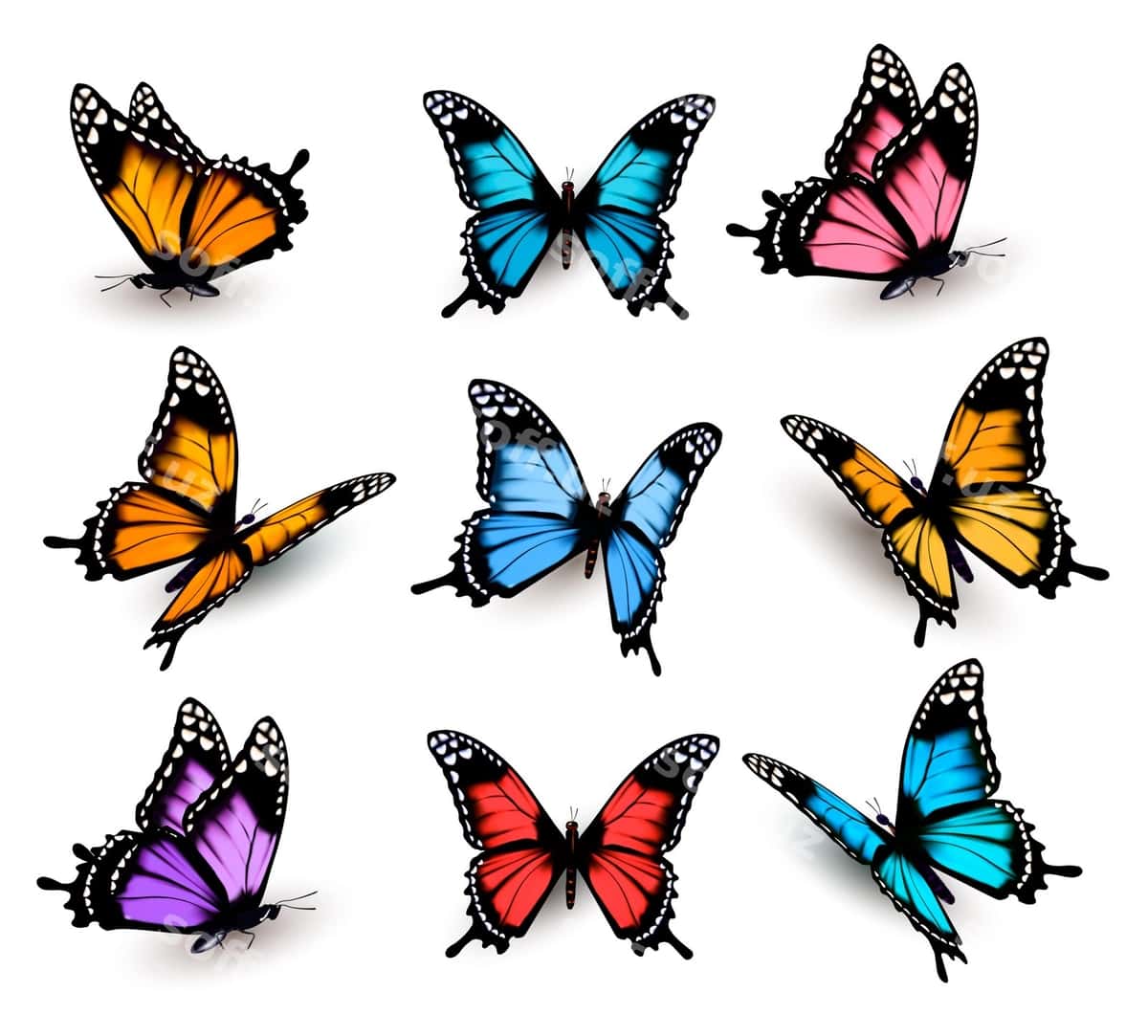 Katta rangli farforlar to'plami | Big collection colorful butterflies 1