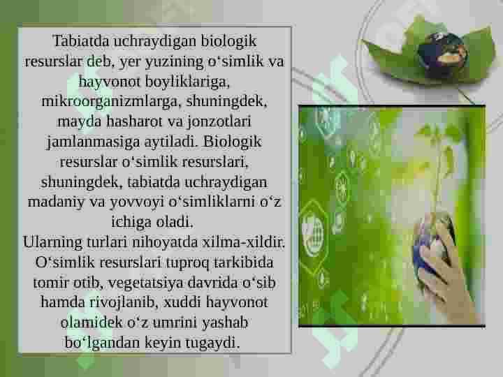 Biologik resurslar haqida tushuncha 2