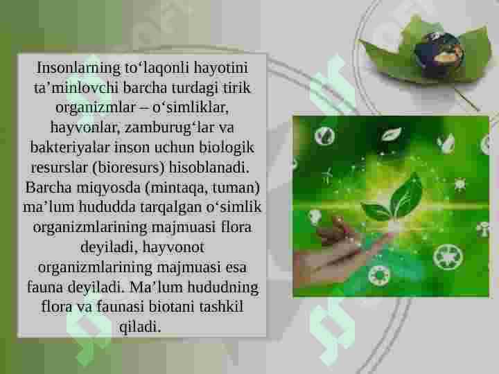 Biologik resurslar haqida tushuncha 3