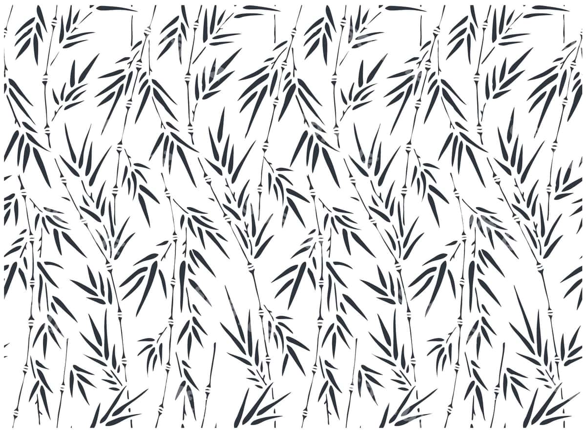 Qora oq fotosurat qora oq zebra nashri | Black white photo black white zebra print 1