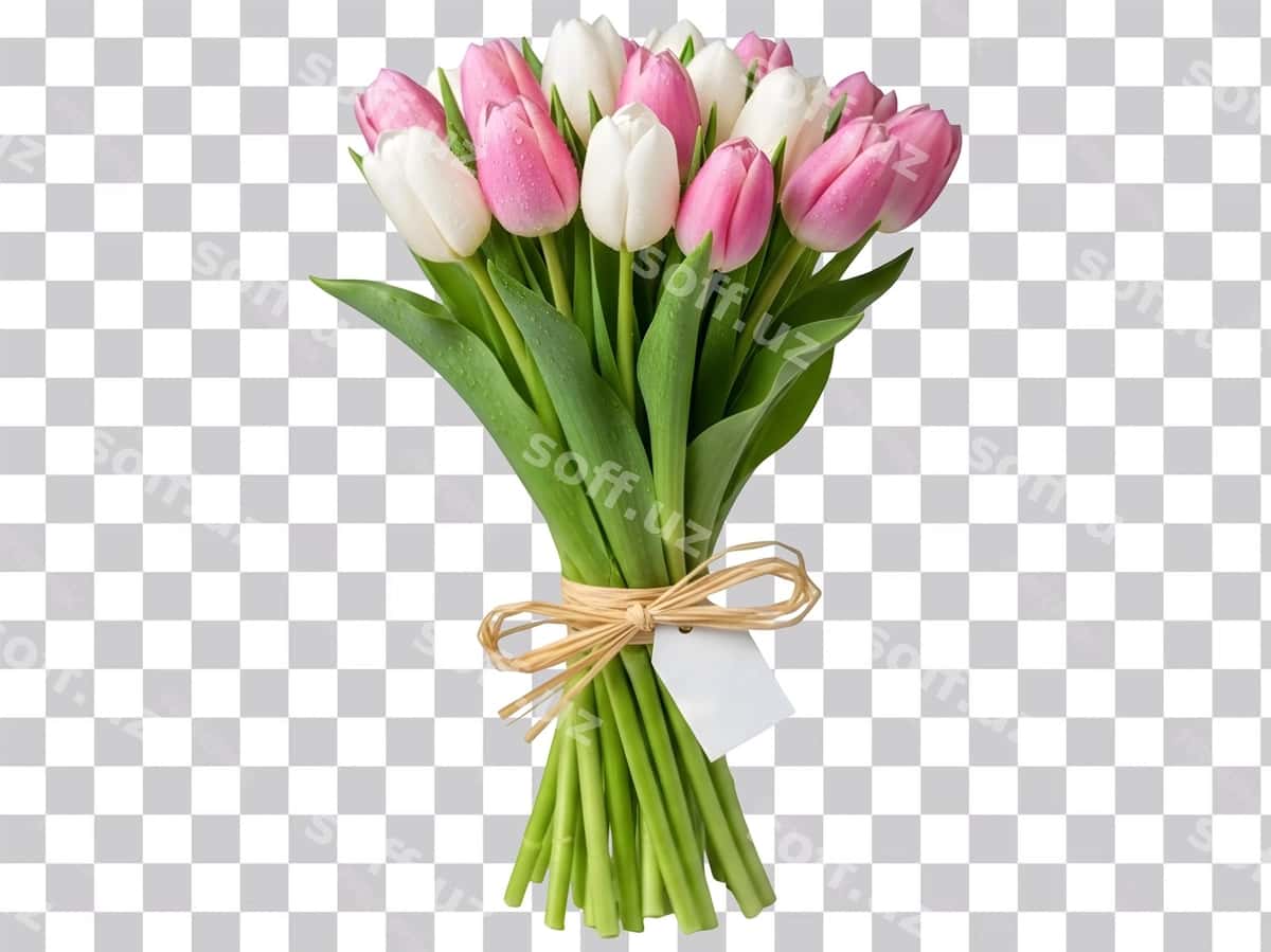 Buket pink va oq lola bo'sh teg bilan | Bouquet pink white tulips with blank tag 1