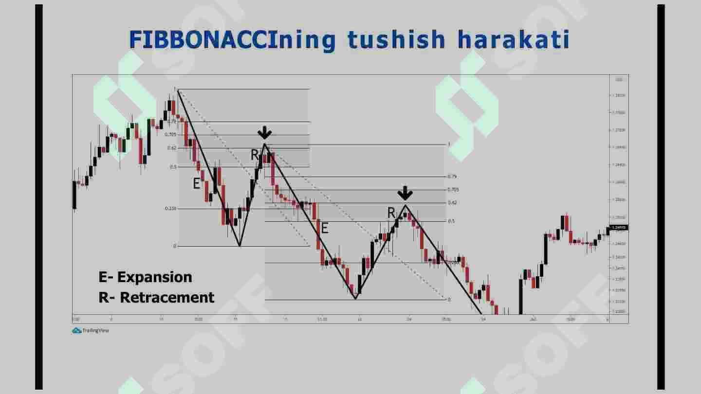 Bozor strukturasi.  Treyding. 8