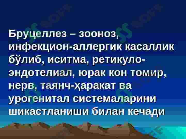 БРУЦЕЛЛЕЗ 3