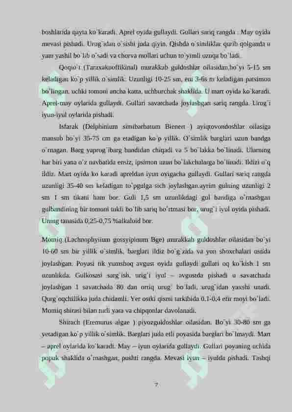 O`zbekistonning tog`, cho`l dashtlarida o`sadigan o`simliklari 7